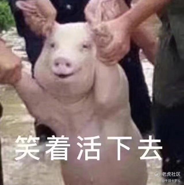 千羽卡罗拉