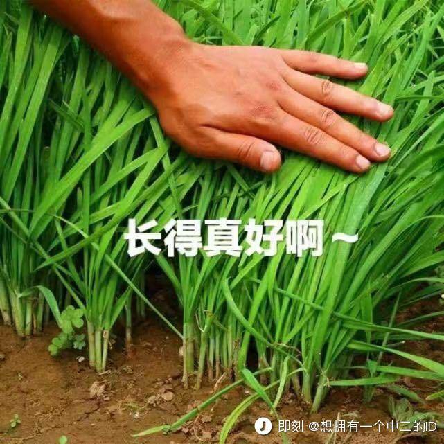 deepx