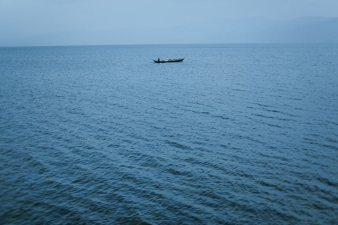 大海1949