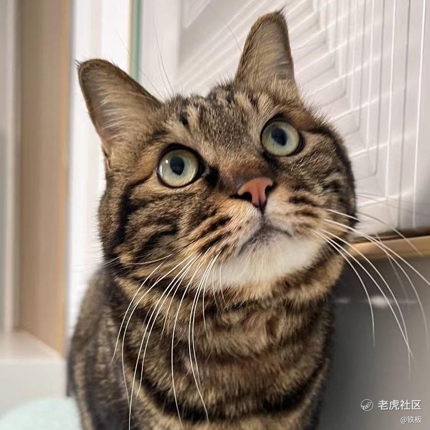 铁板