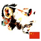 长征伍万里