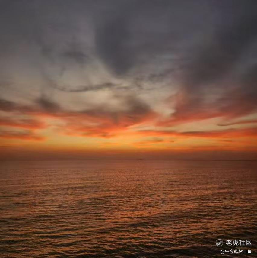 午夜蓝树上鱼
