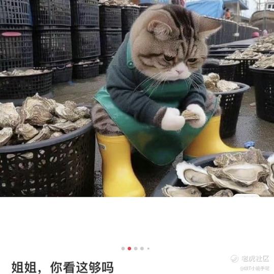 做T小能手呢