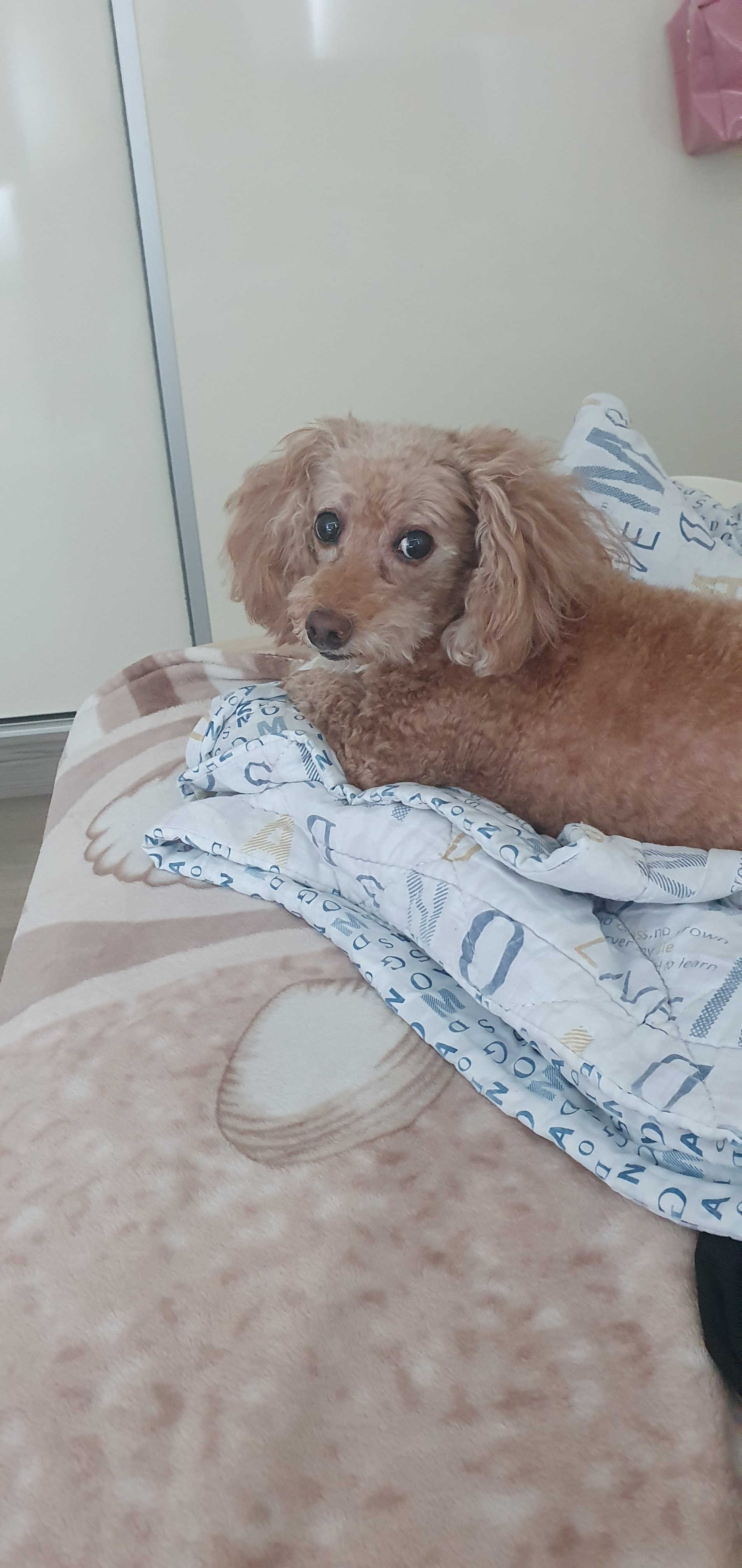 大赢家 BIG WINNER