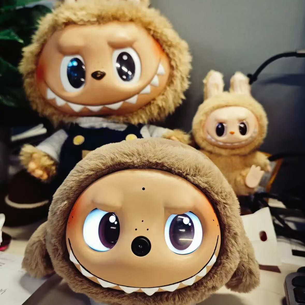 疯狂的兔子