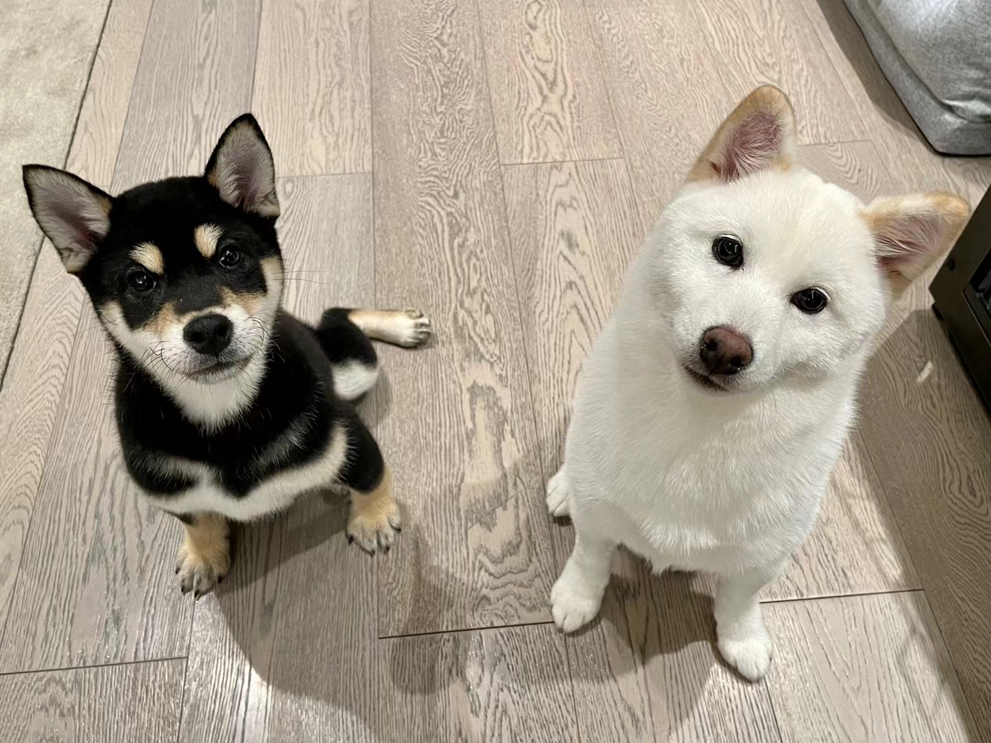 幸运女神要降临