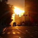 七个柚子多少钱