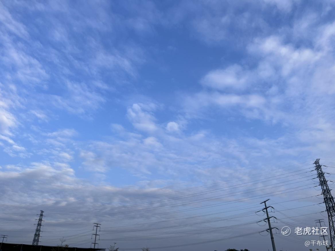 干布球