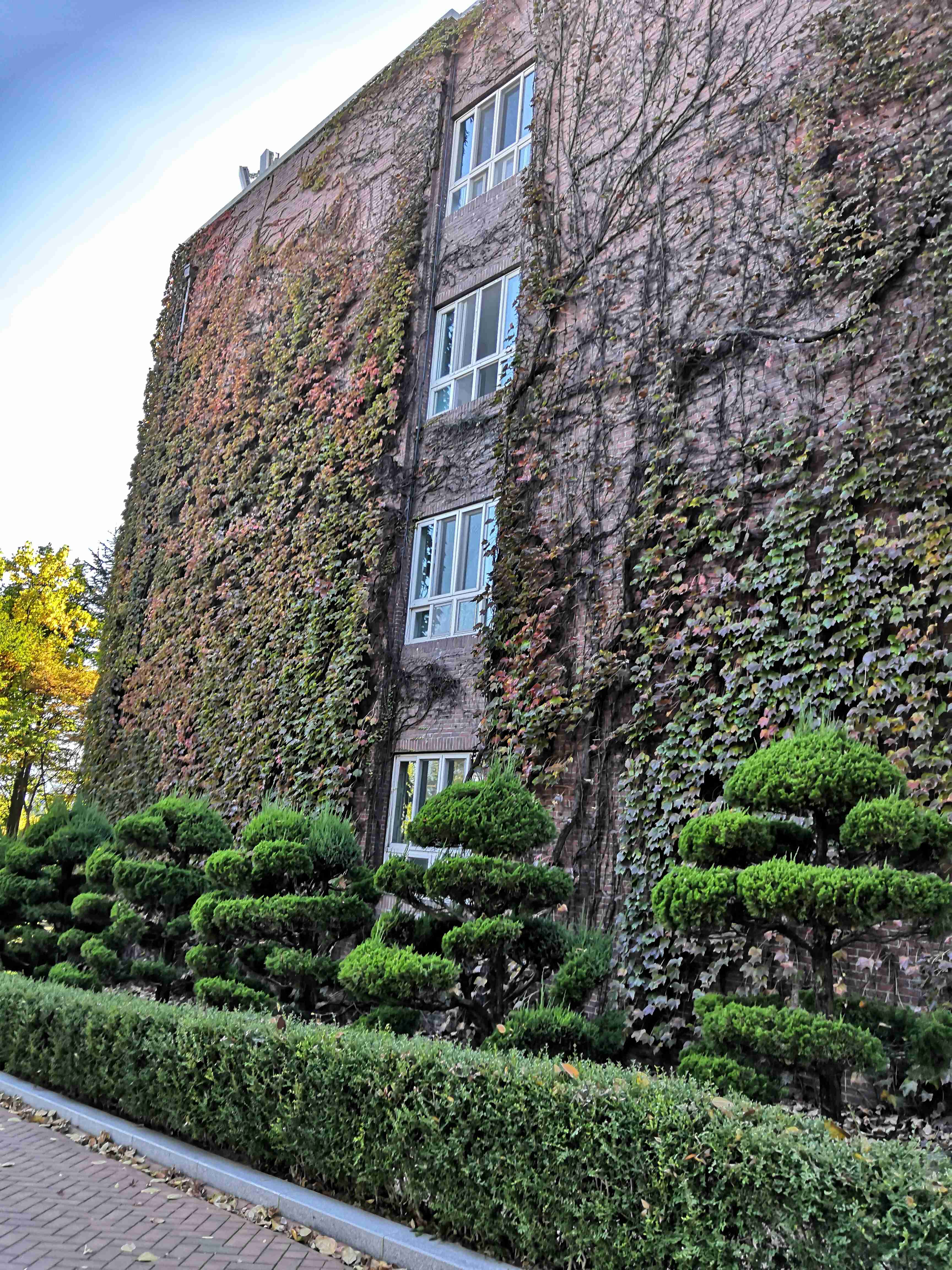 卖火柴的大男孩