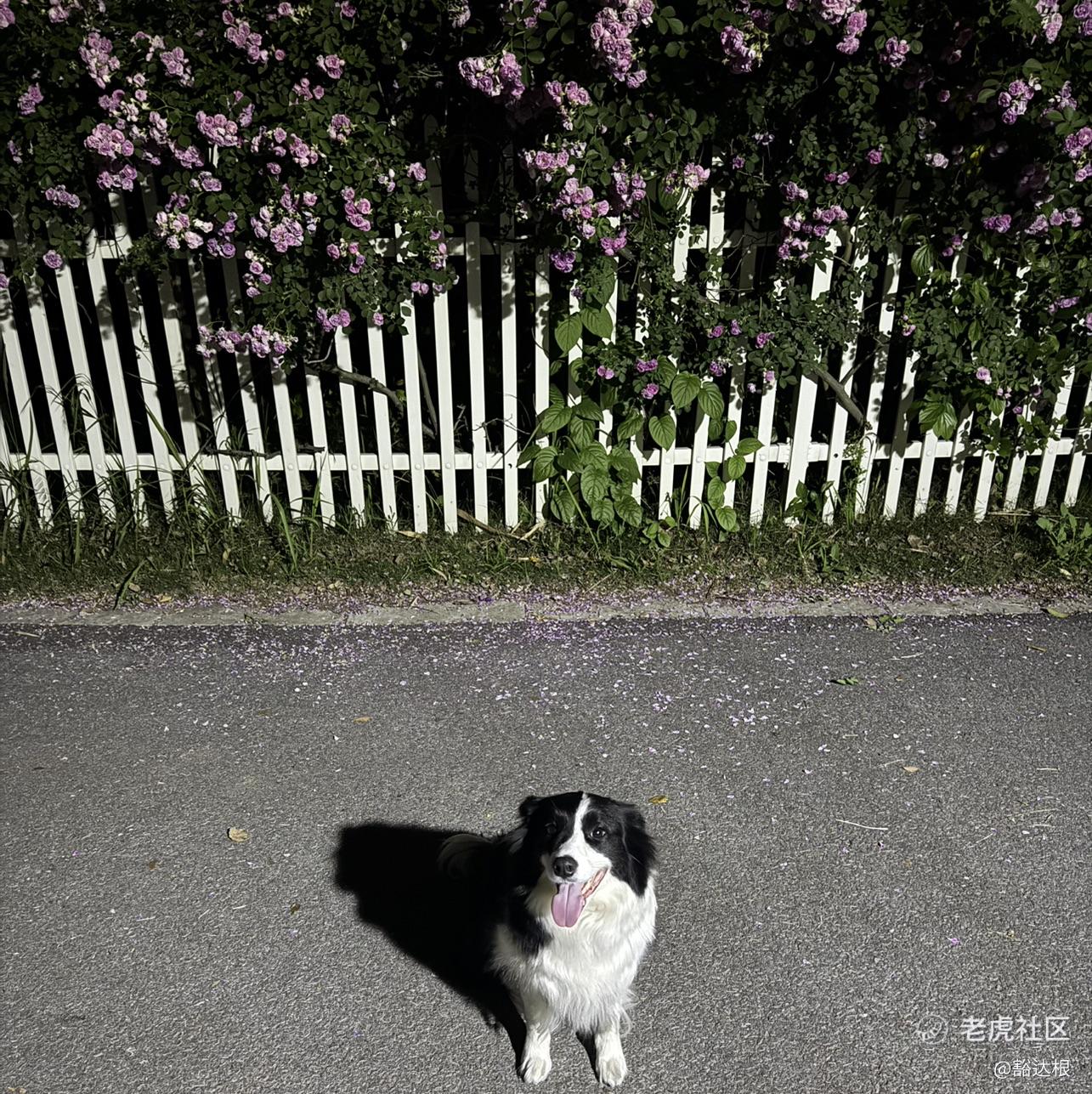 豁达根