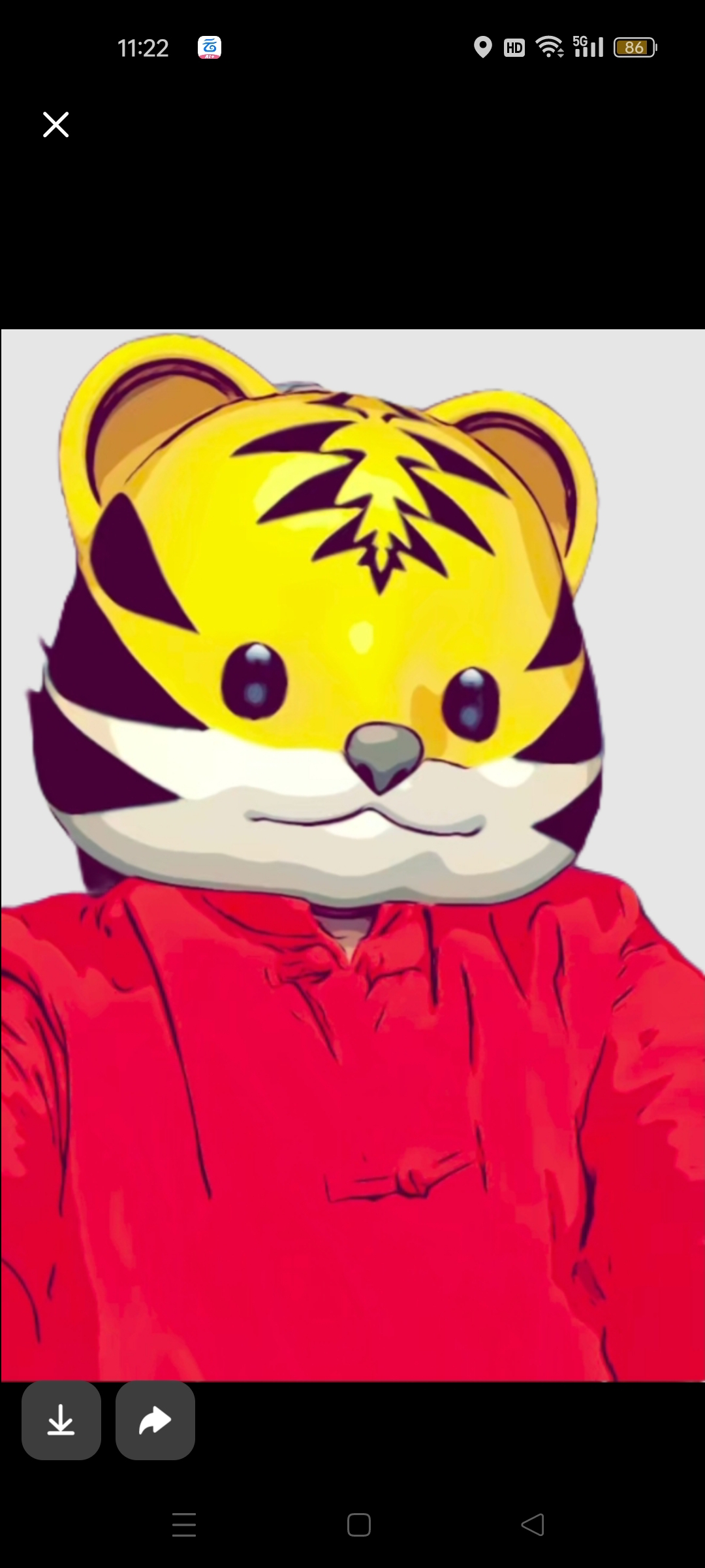 小虎的小伙伴们