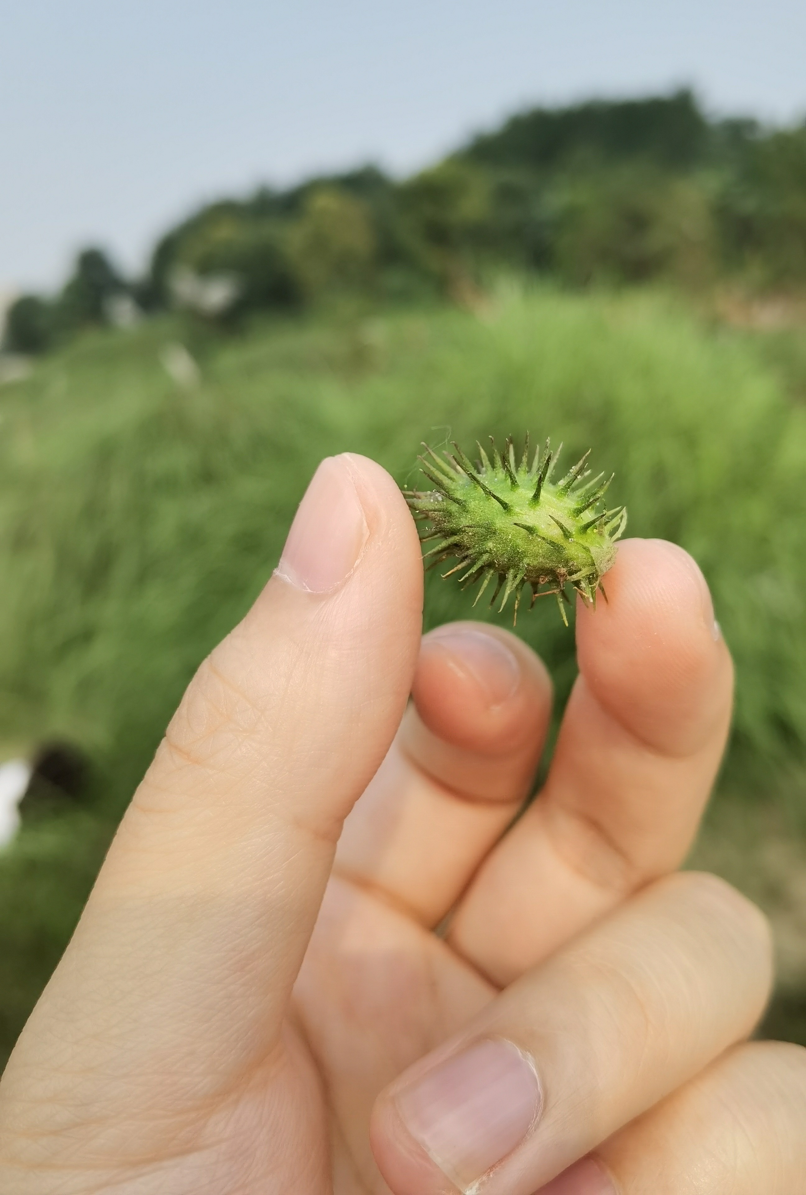 菲菲菲988