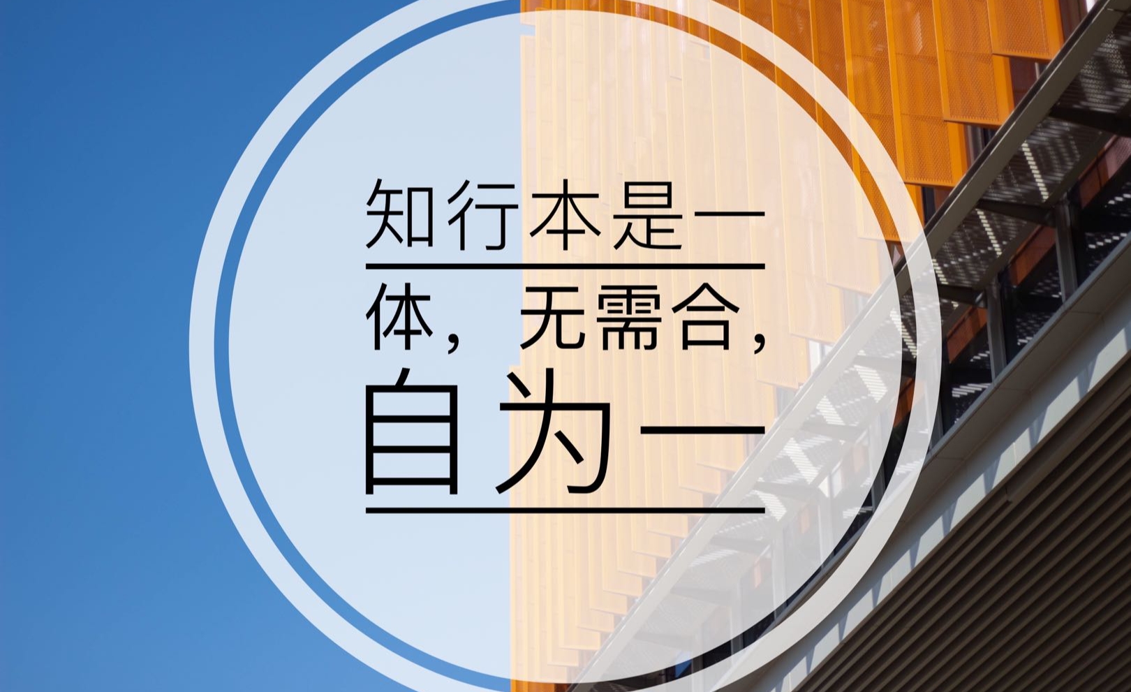 阿温233