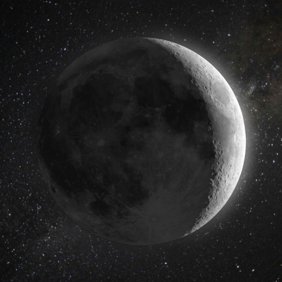 都铎琼斯秘传大弟子