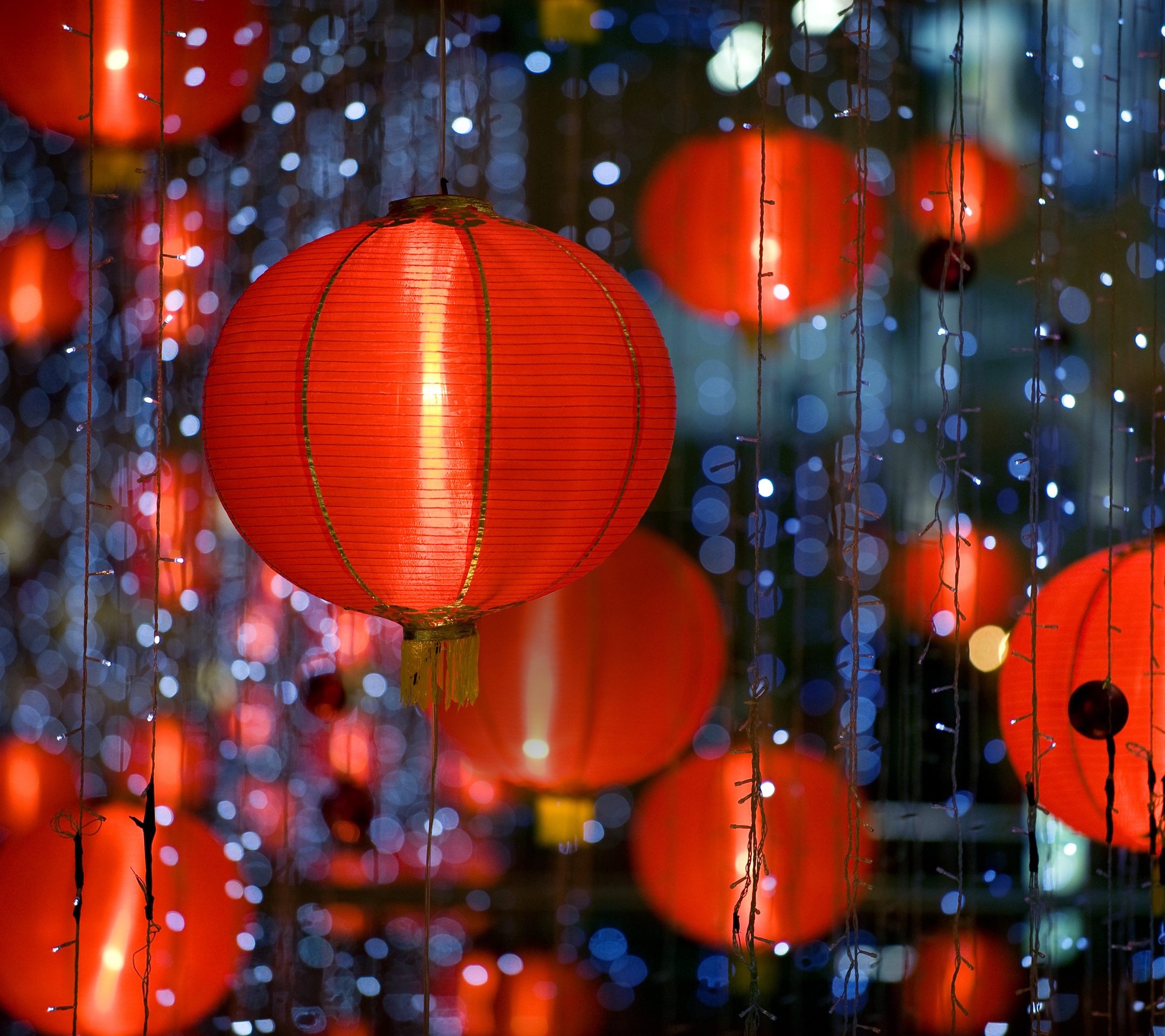 一夜秋风叶无痕