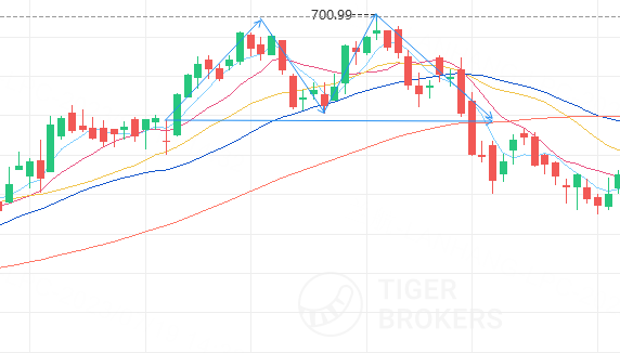 Source：Tiger trade app（请注意，案例仅是示例，并不构成对未来投资的建议。）