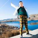 雅帝乐高端防盗门1504