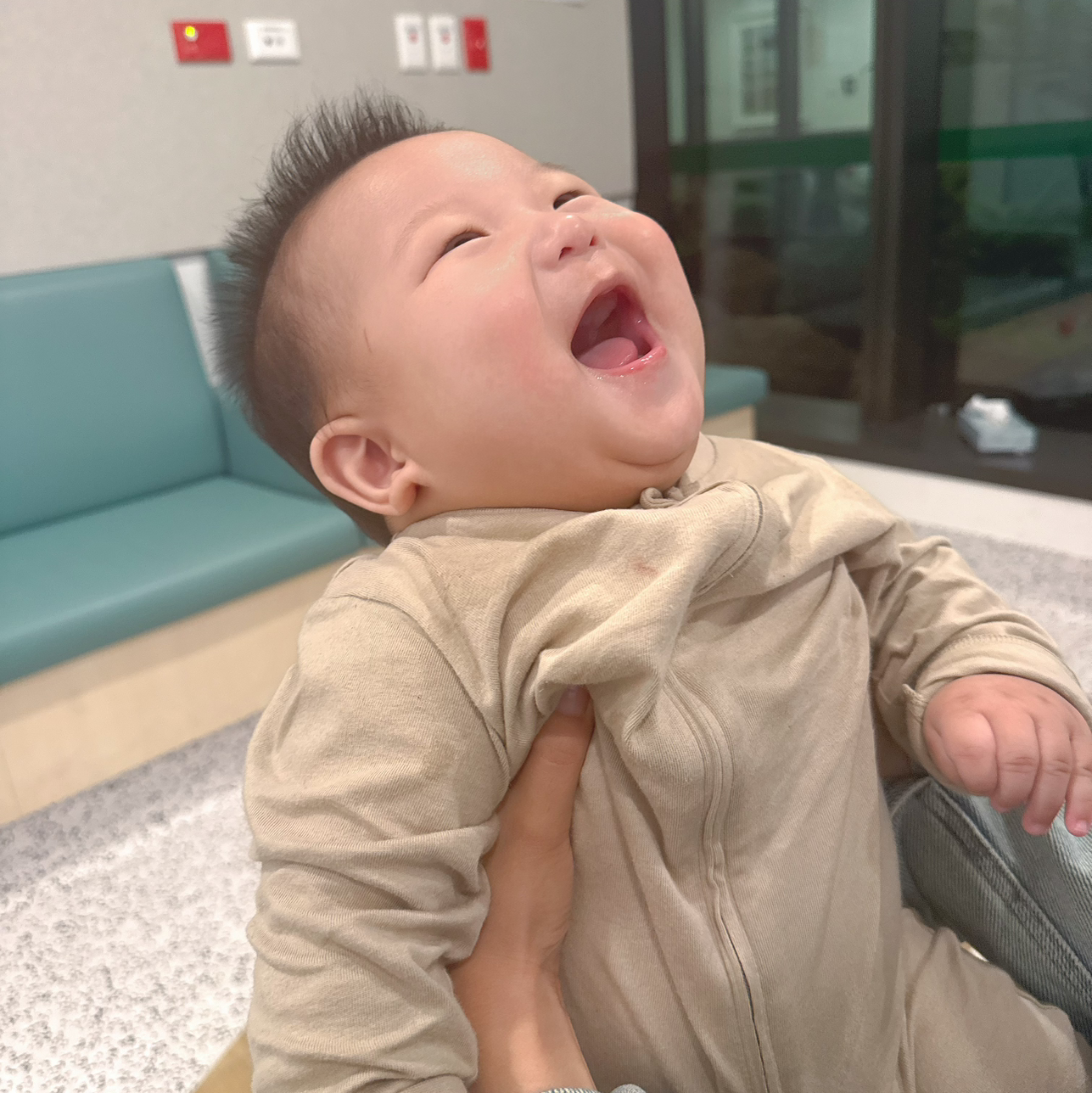西哥爱炒股