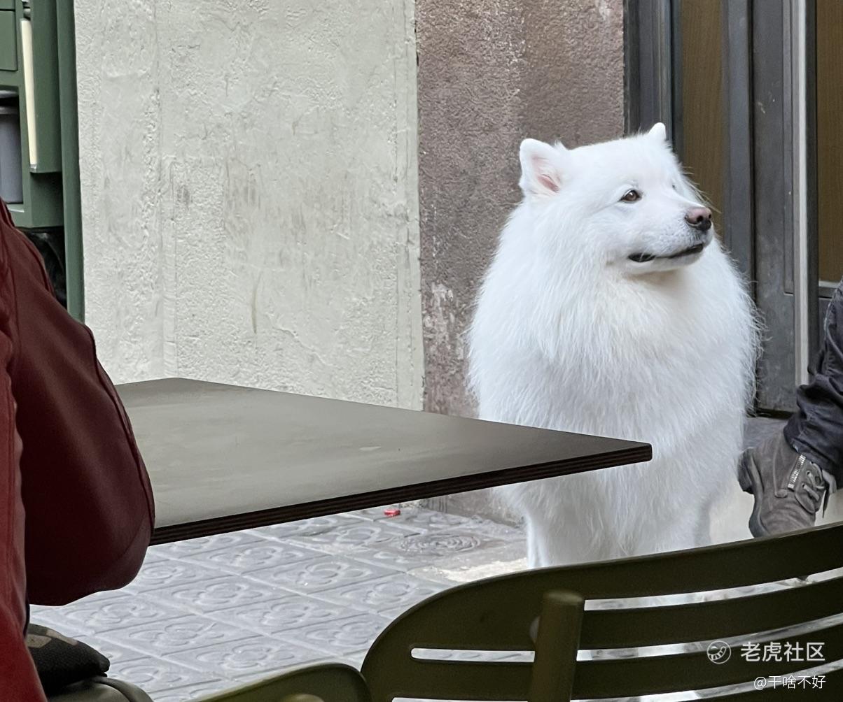干啥不好