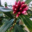 YiYan_5464