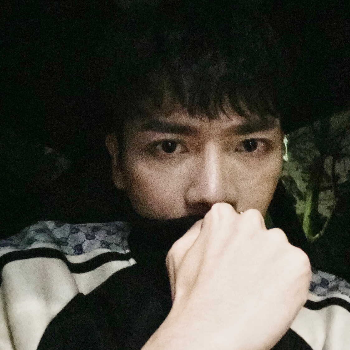 爱抽盲盒的交易员