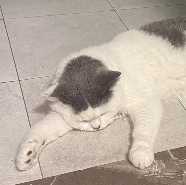 脆皮猪大肠