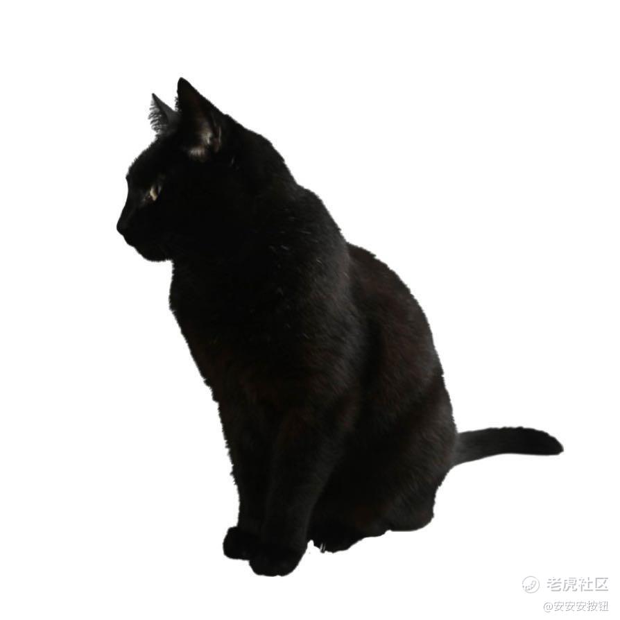 安安安按钮