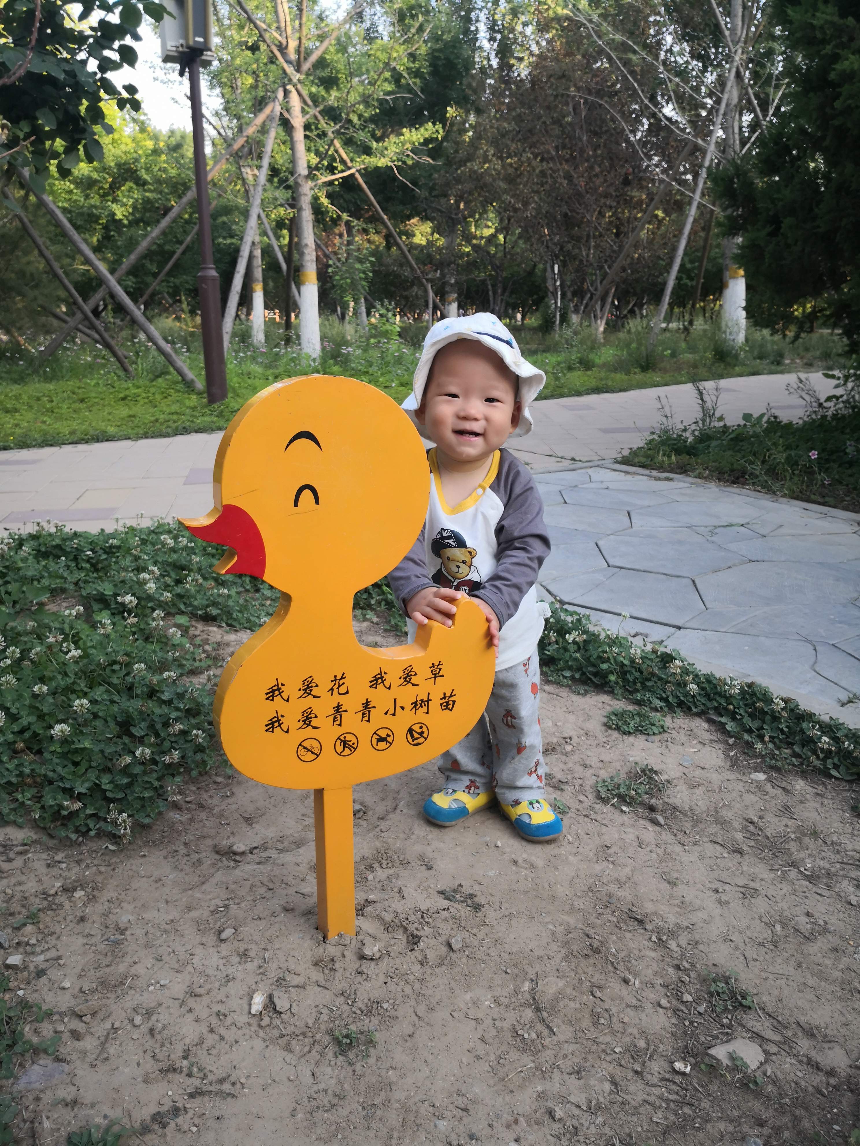 云飞扬跋扈