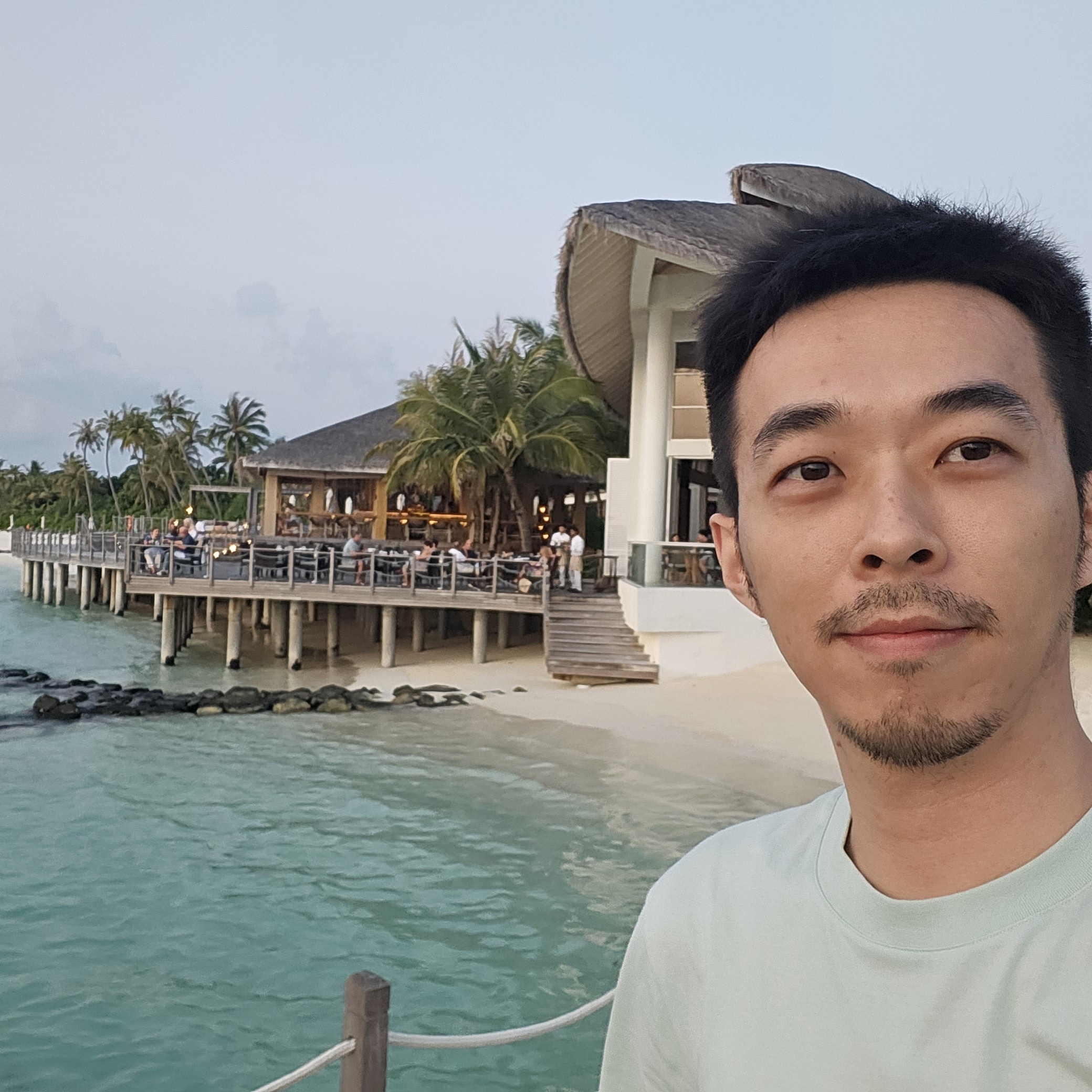owen景