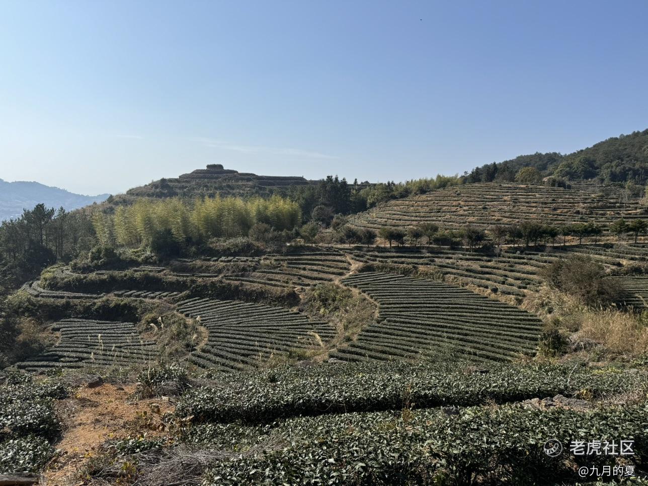 九月的夏