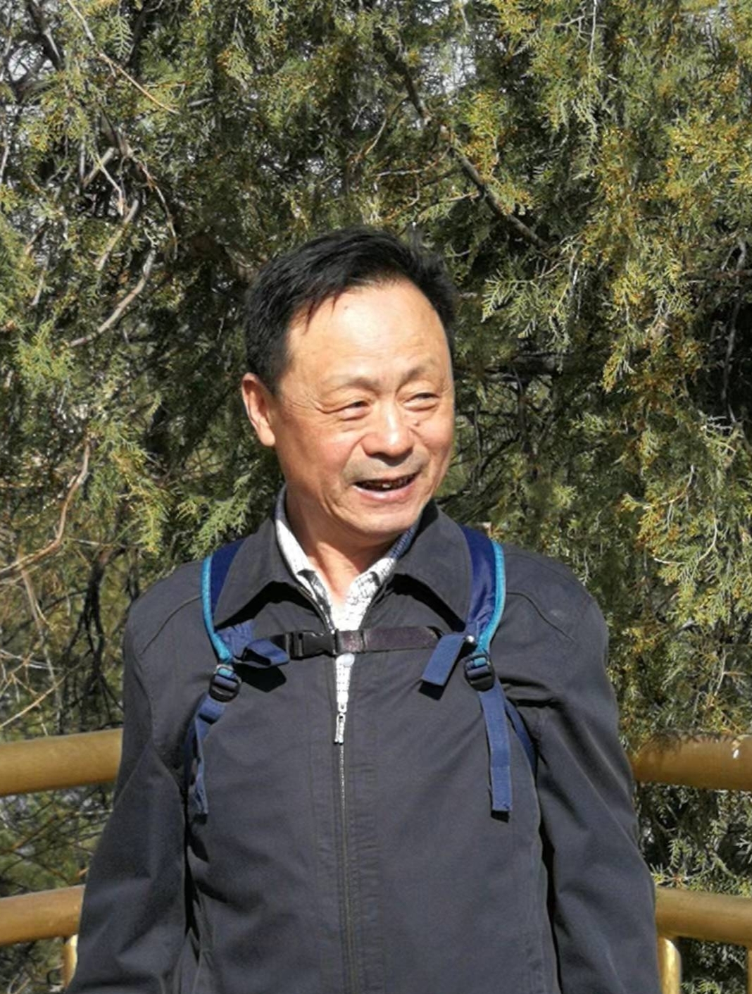 骑行者一棵大树