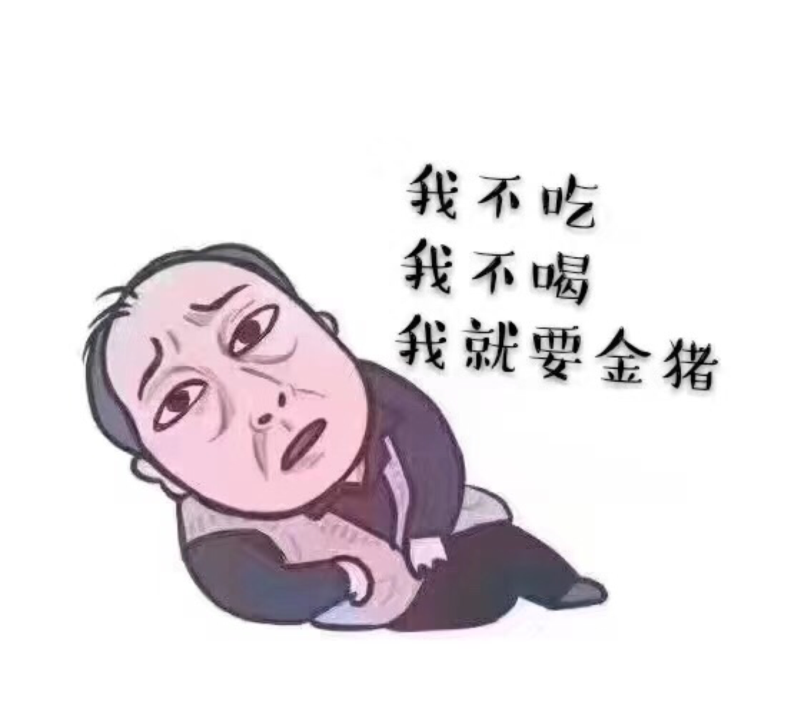 无敌小涛涛