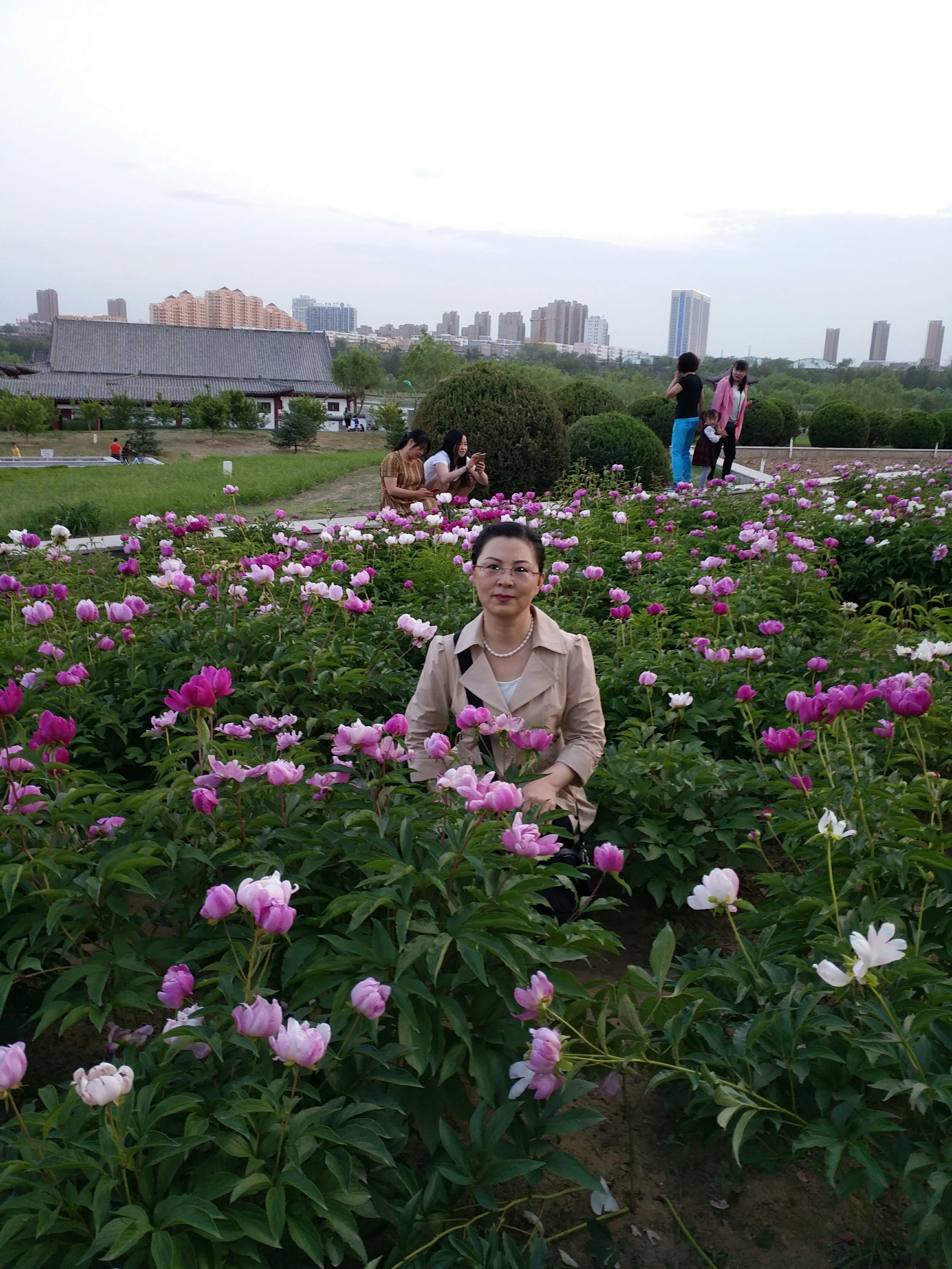 华丽蜕变