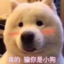 来俩韭菜盒子