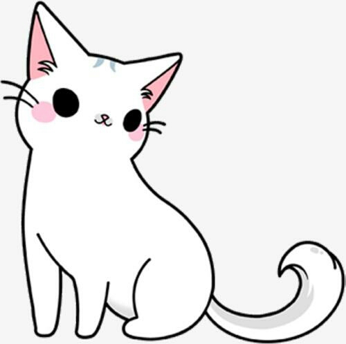 占卜师的喵喵