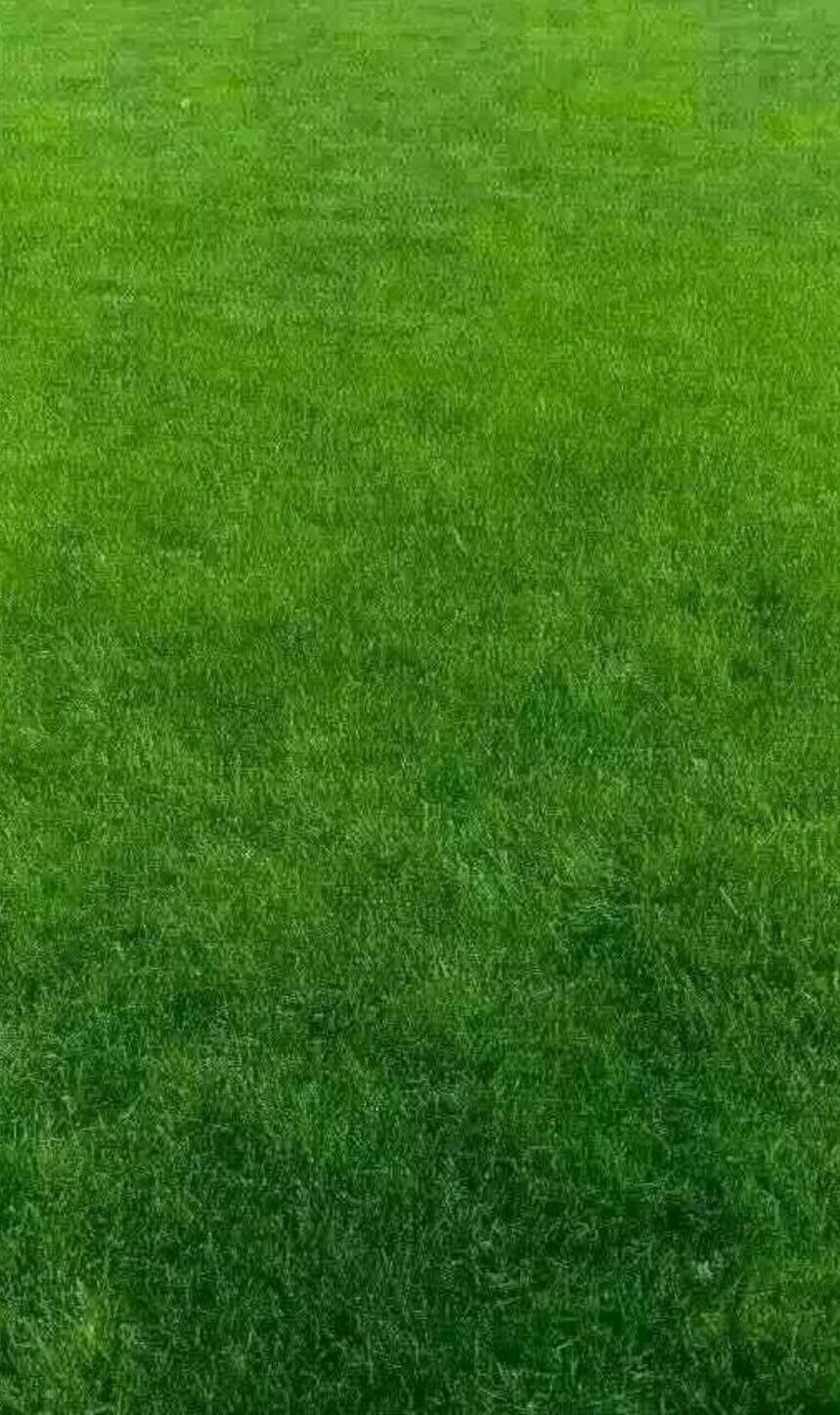 奇迹重现