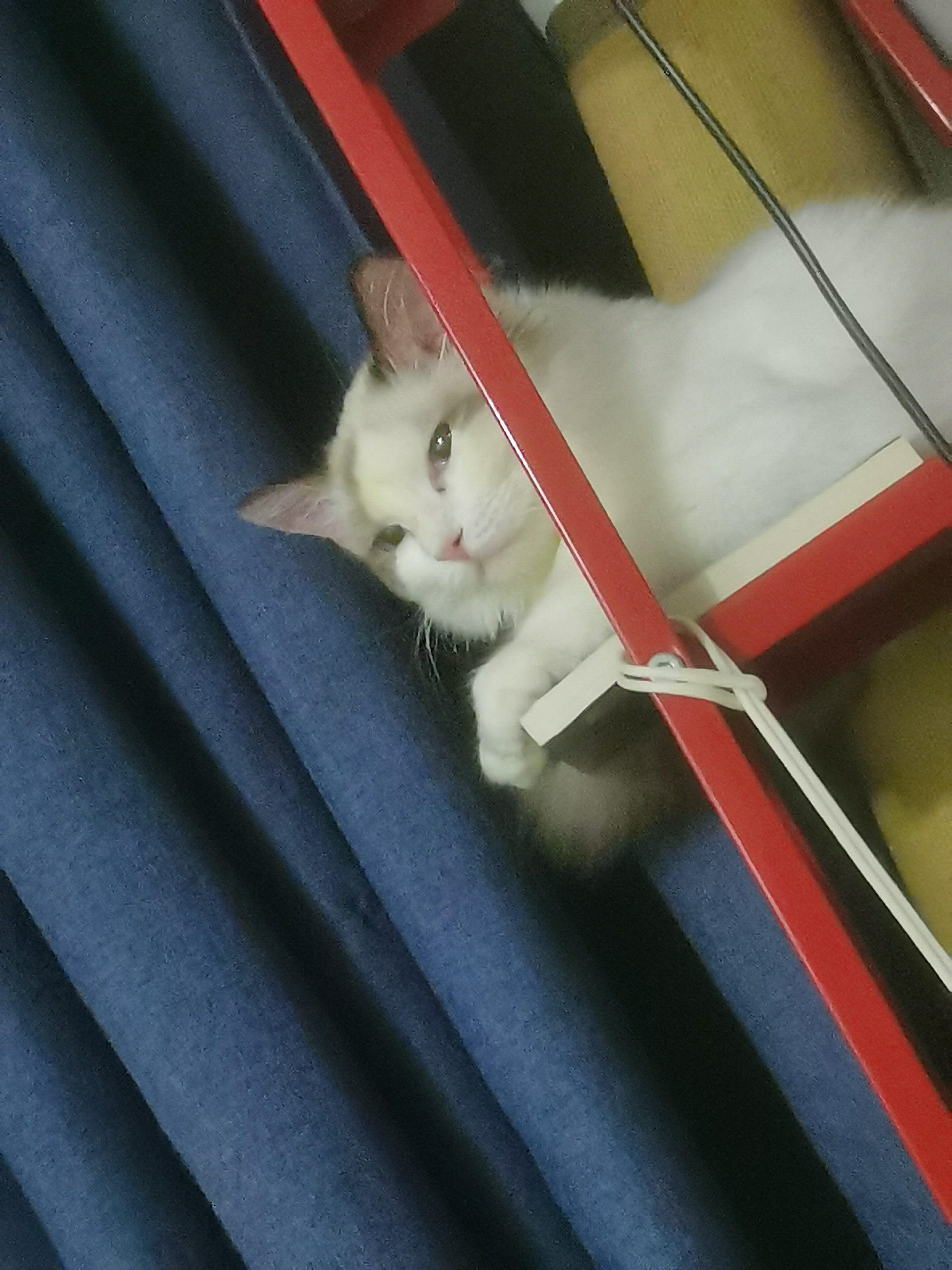 追光造梦