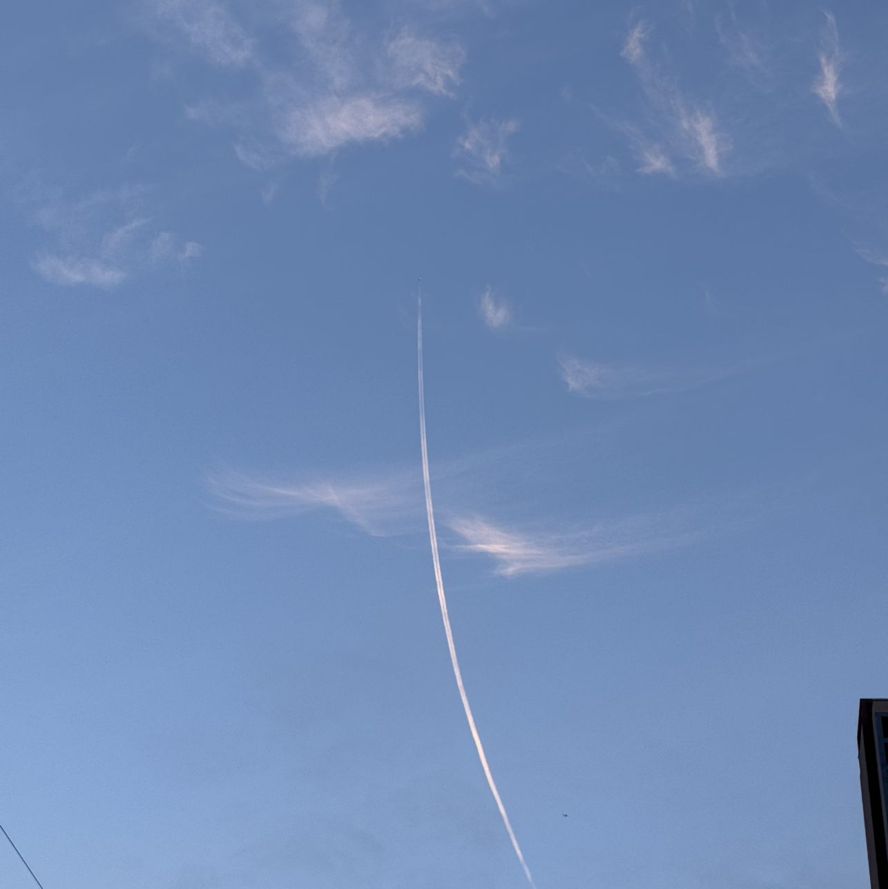 韭菜炒鸡蛋和西红柿