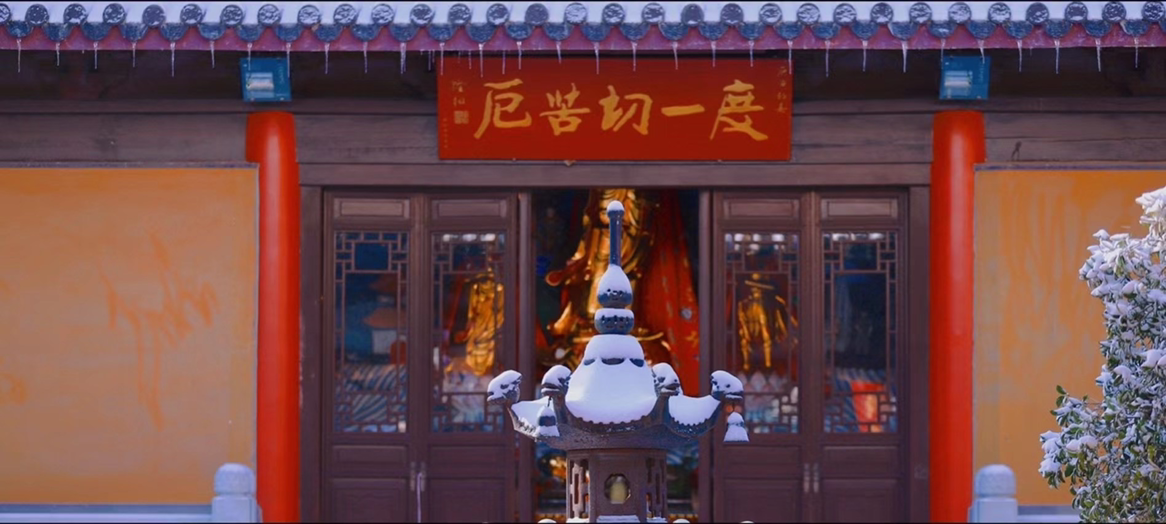 黄花大小伙_黄_4955