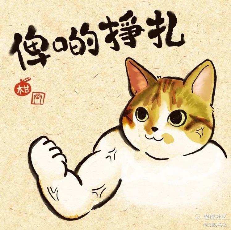 快速小马达