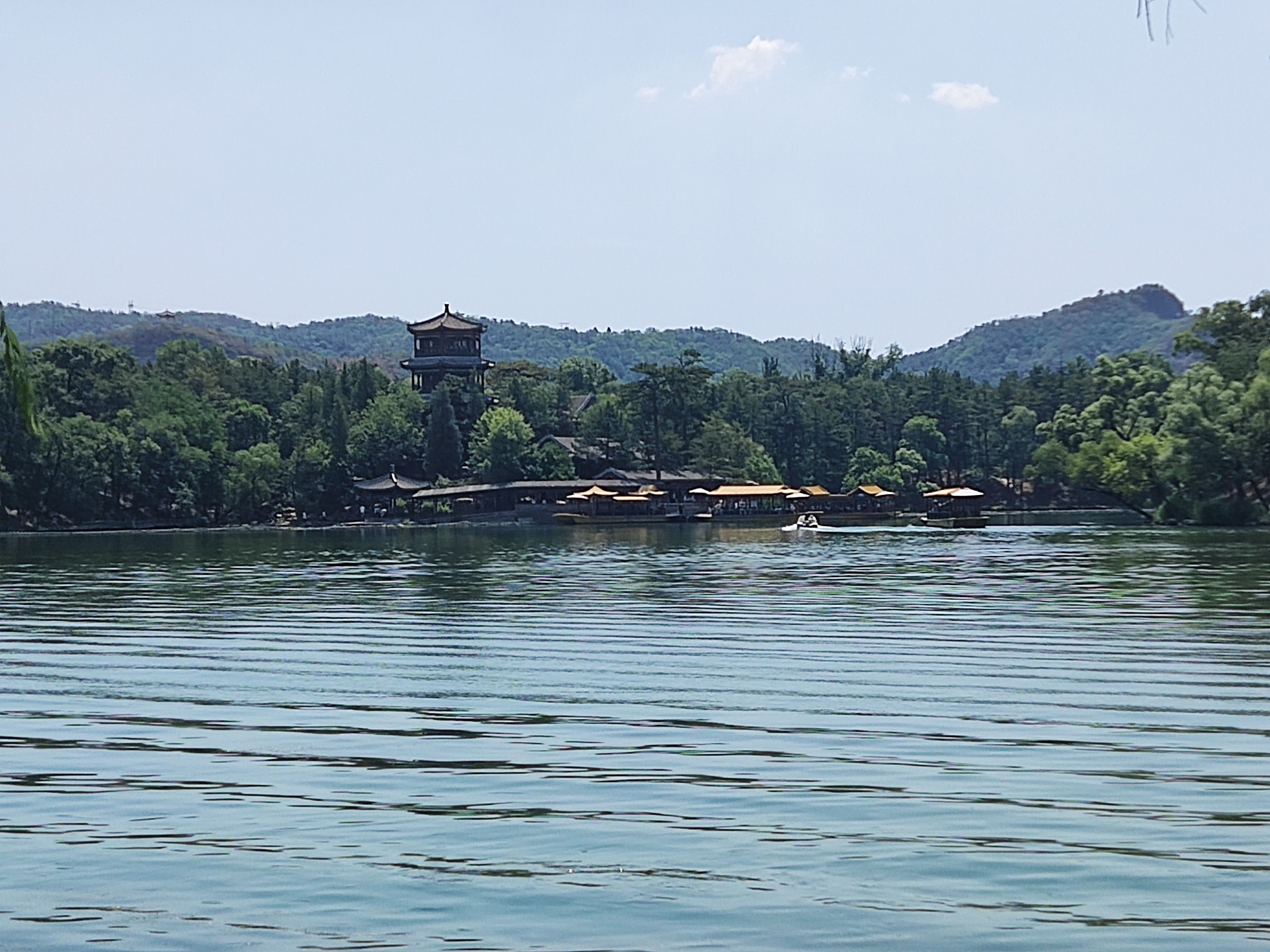 开花开花大馒头