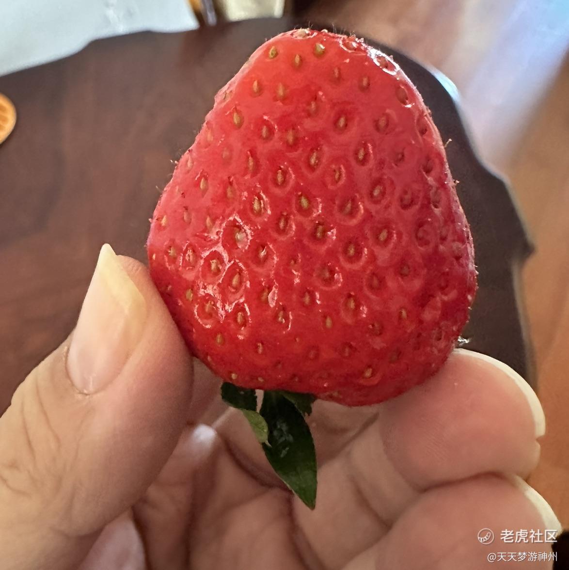 天天梦游神州