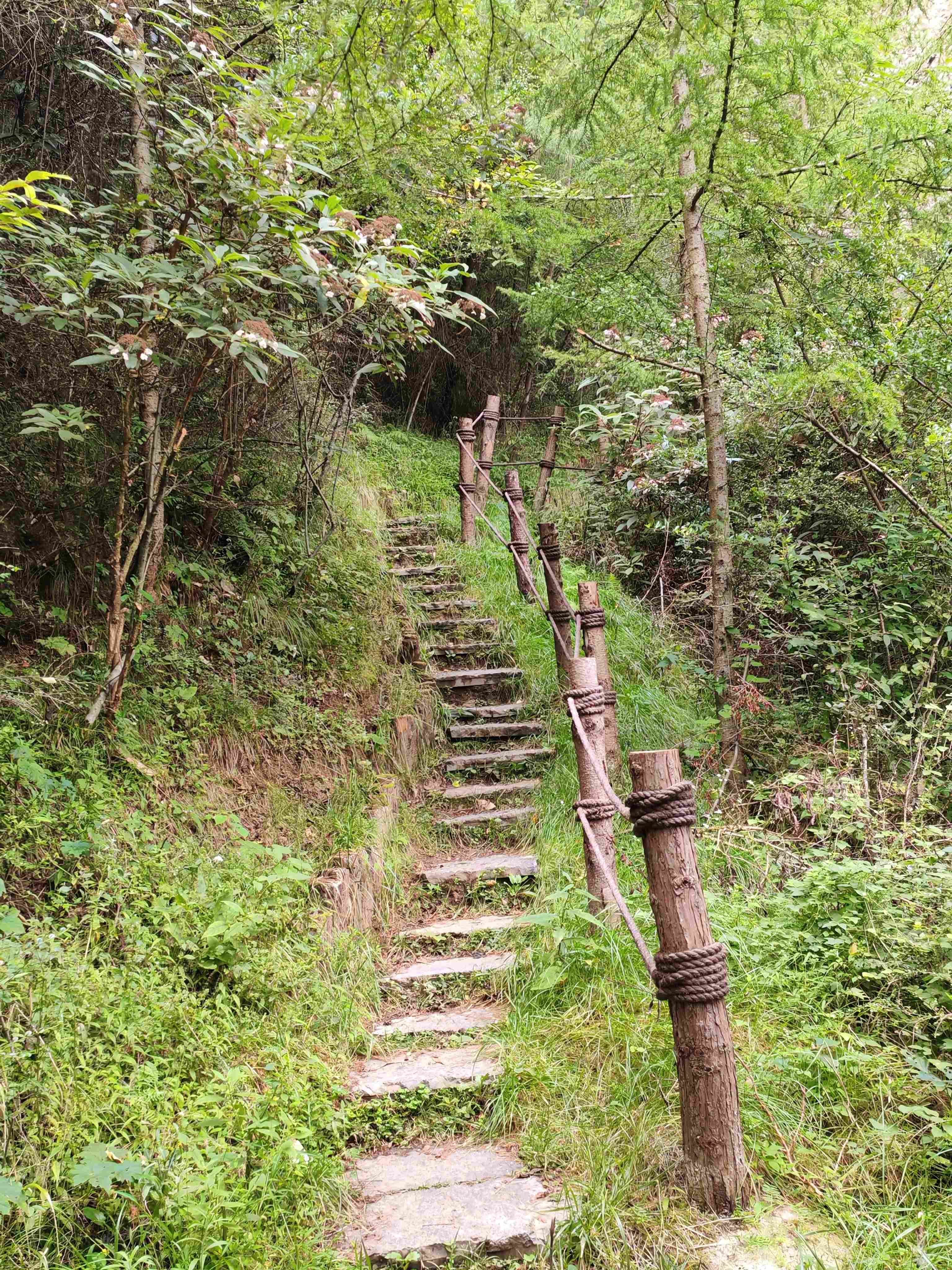 Nanadu