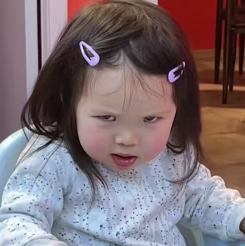 韭菜的荣耀