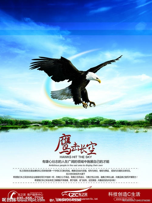 雄鹰展翅寻鸿雁