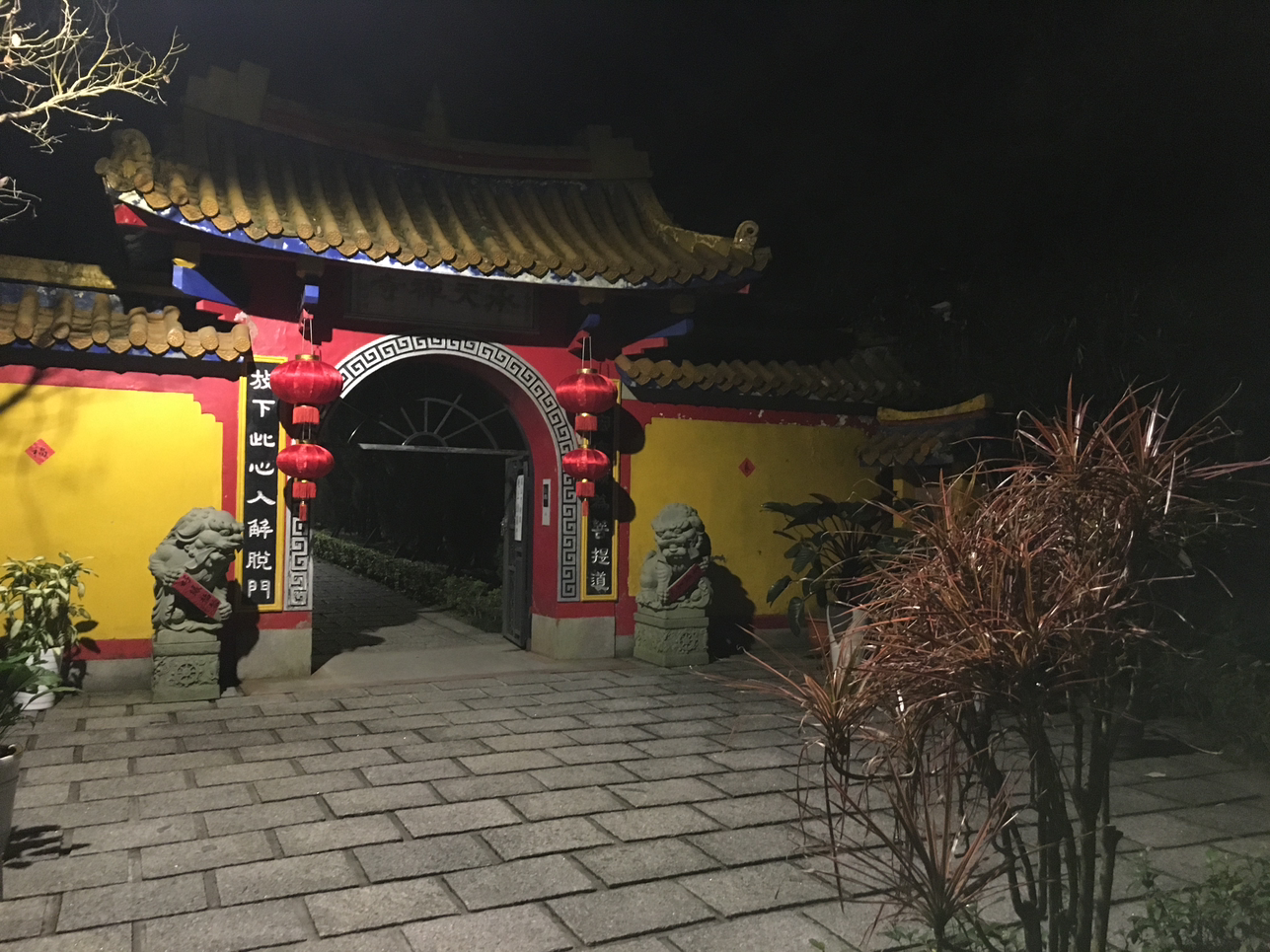 虎气冲天的岱如