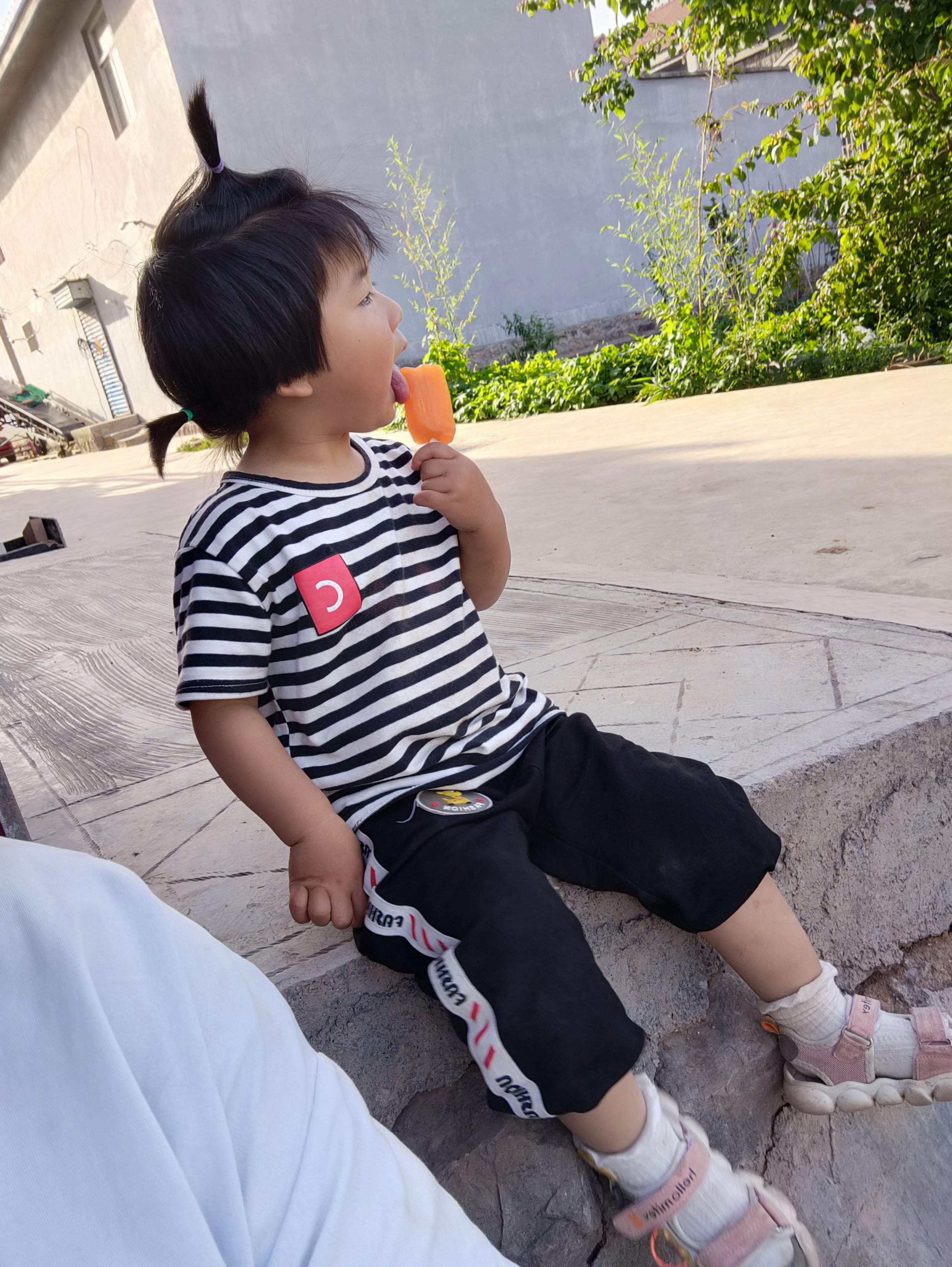 我是会飞的鱼儿
