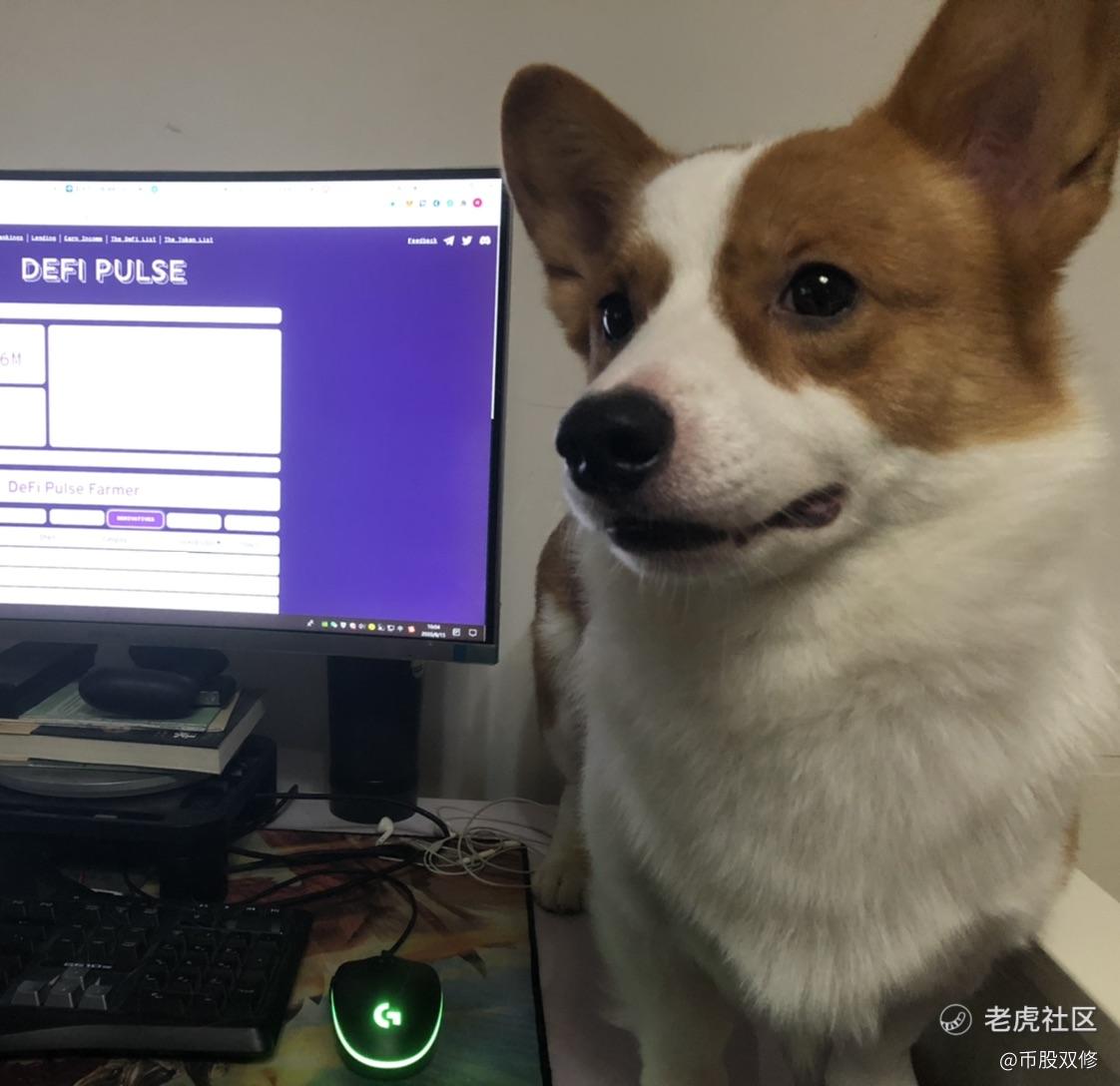 币股双修