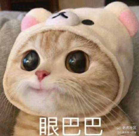 社保低保一把梭