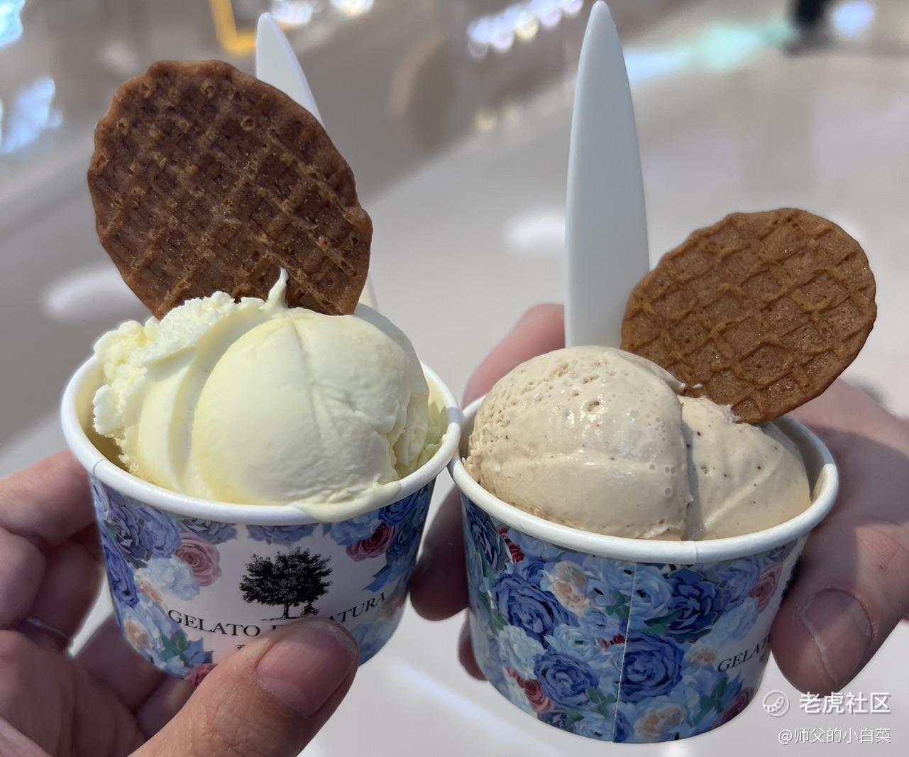 很新的韭菜